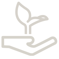 Sustentabilidade como<br/>propósito